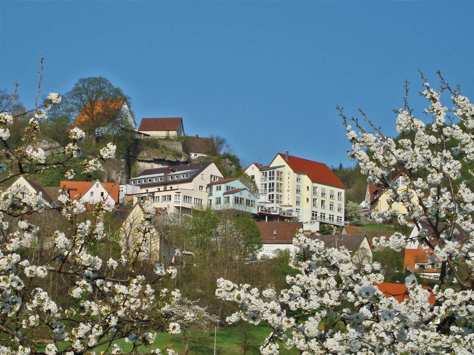 Berggasthof Hotel Igelwirt Schnaittach Exteriér fotografie